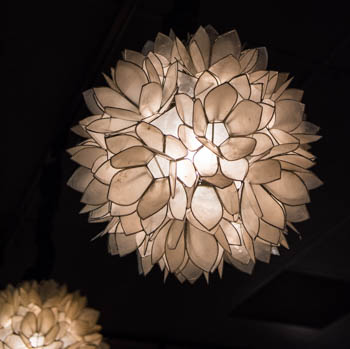 Hand-made Lotus Oyster Shell Lights